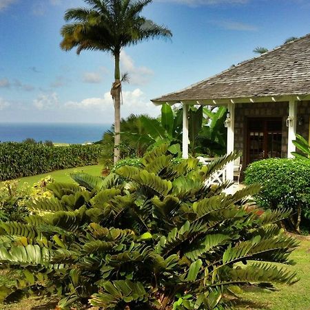 Ottleys Plantation Inn Cayon Ngoại thất bức ảnh
